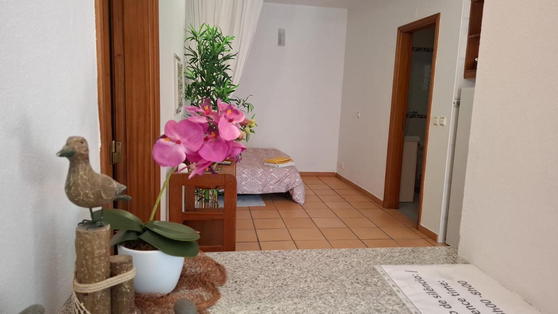 Surf & Beach House Aljezur Ngoại thất bức ảnh